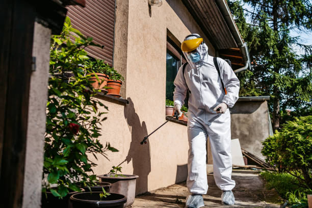 Reliable Ogden, IA Pest Control Solutions