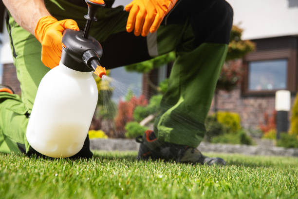 Best Insect Control  in Ogden, IA