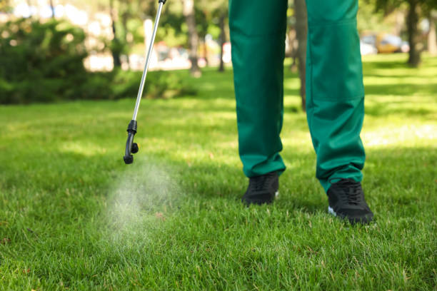 Best Affordable Pest Control Services  in Ogden, IA