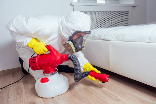 Best Pest Removal Services  in Ogden, IA
