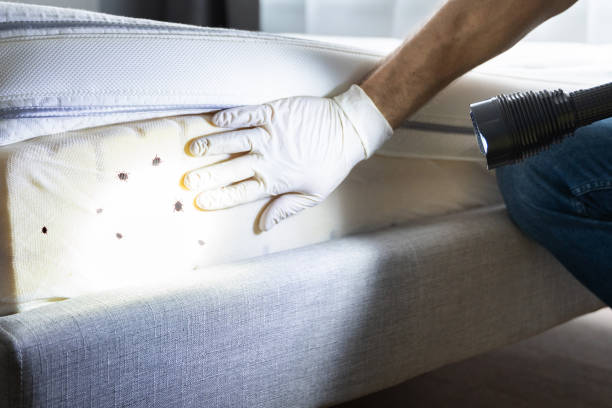 Best Best Pest Control Companies  in Ogden, IA