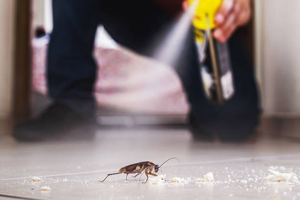 Pest Prevention Services in Ogden, IA