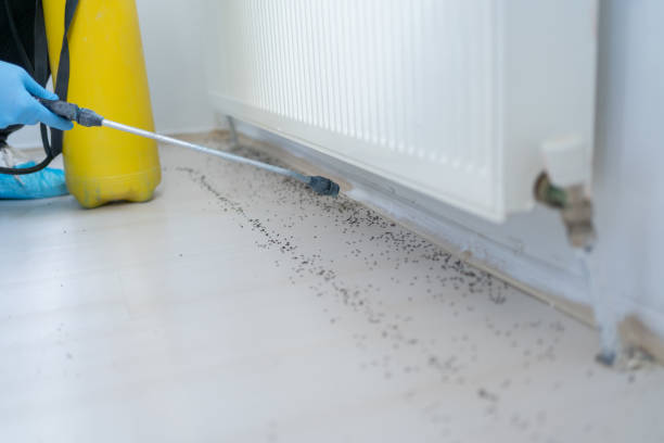 Best Wildlife Control Services  in Ogden, IA
