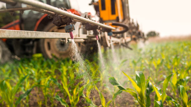 Best Pest Prevention Services  in Ogden, IA