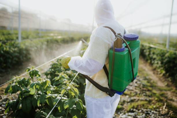 Best Pest Control for Businesses  in Ogden, IA